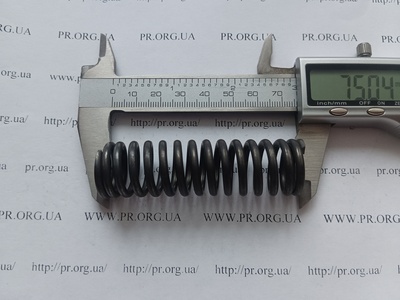 Пружина сжатия 3 х 21,8 х 75 (Артикул: G1509)