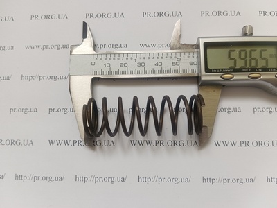 Пружина стиснення 2 х 21,8 х 59,5 (Артикул: G1698)