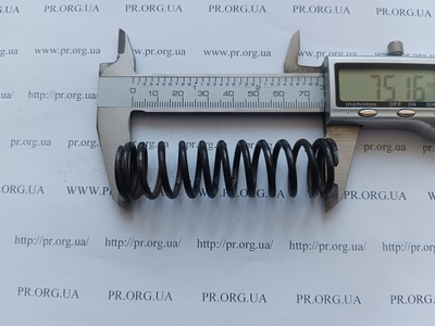 Пружина сжатия 2,5 х 21,8 х 75 (Артикул: G1897)