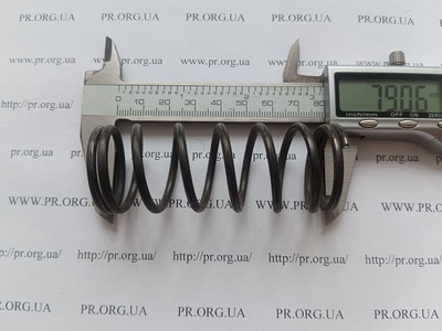 Пружина сжатия 3 х 31 х 79 (Артикул: G2035)